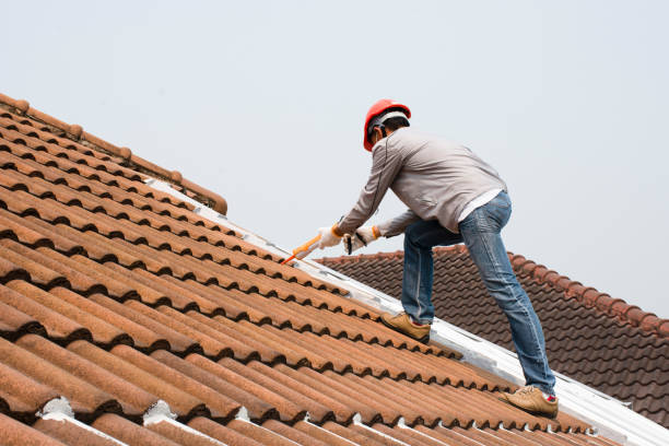 Best Metal Roofing Installation  in Gloucester Courthouse, VA
